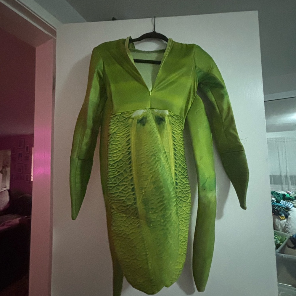 Green Long Sleeve Praying Mantis Costume